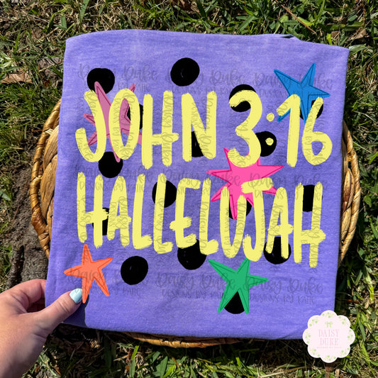 John 3:16
